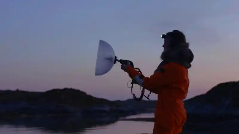 Arbeit „Acoustic Ocean" von Ursula Biemann.