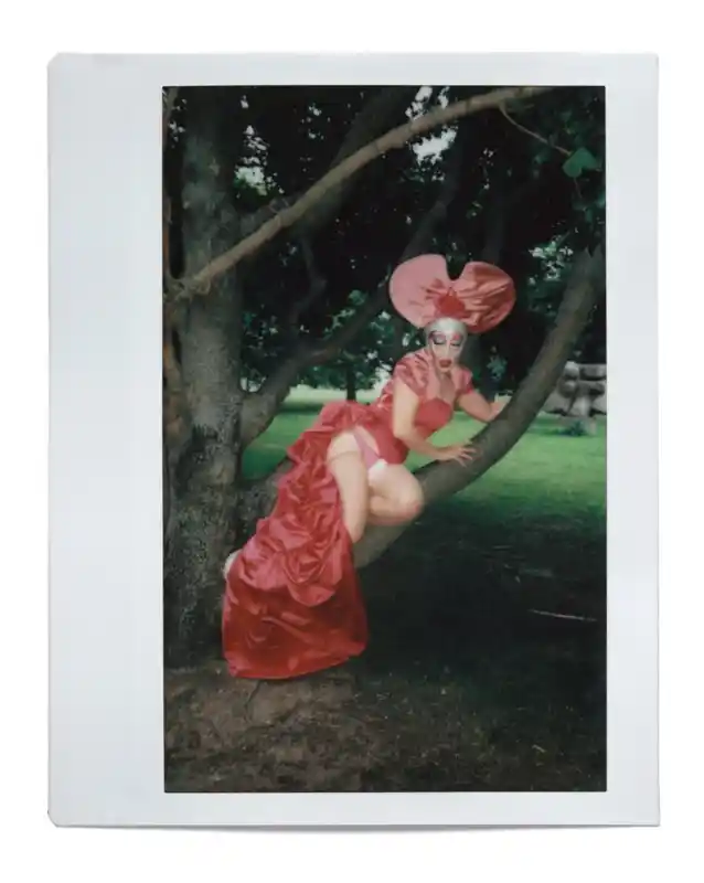 Polaroid von Theodora Rex, "Wigs & Gloves"