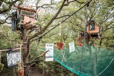 Baumhaussiedlung im Hambacher Wald, 2012–